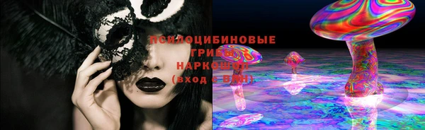 ALPHA-PVP Няндома