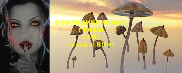 герыч Нязепетровск