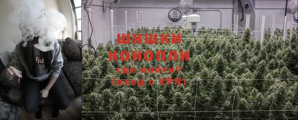 PSILOCYBIN Нягань