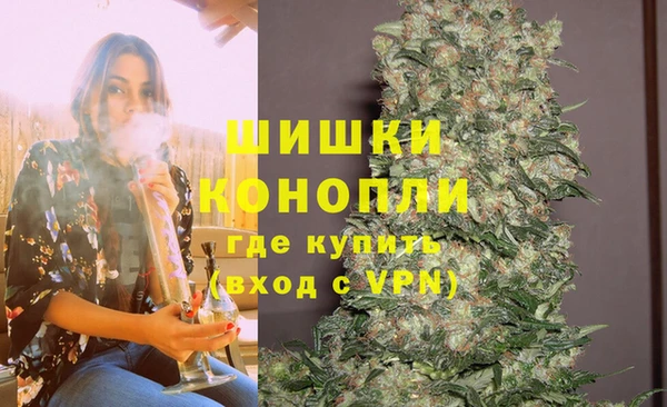 PSILOCYBIN Нягань