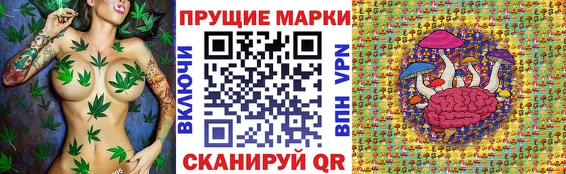 где купить наркоту  Щёкино  MEGA вход  Наркотические марки 1,8мг 