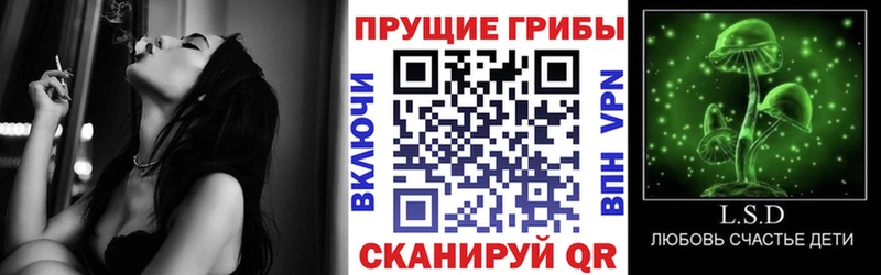 Псилоцибиновые грибы Cubensis  Щёкино 